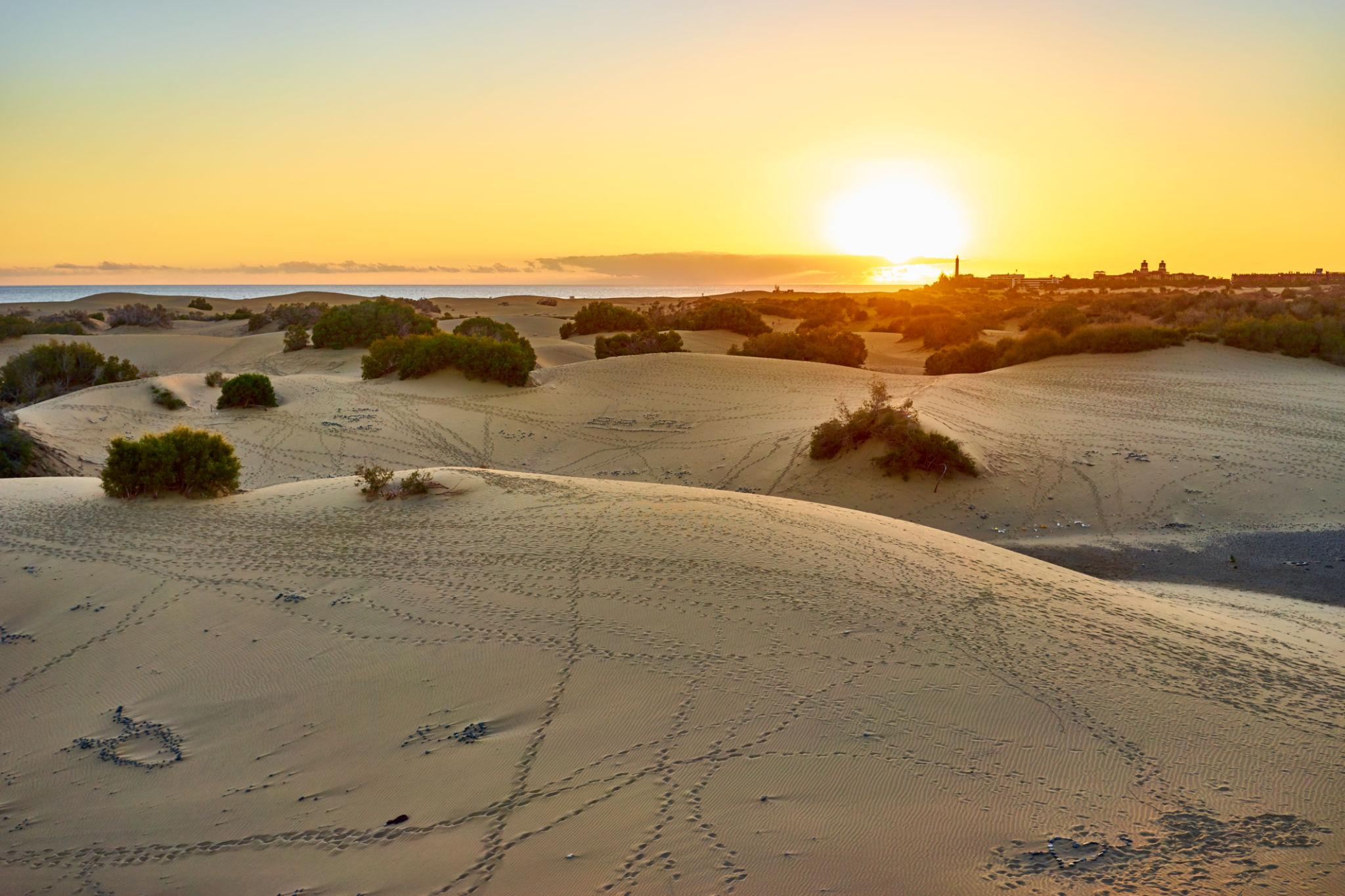 dunas