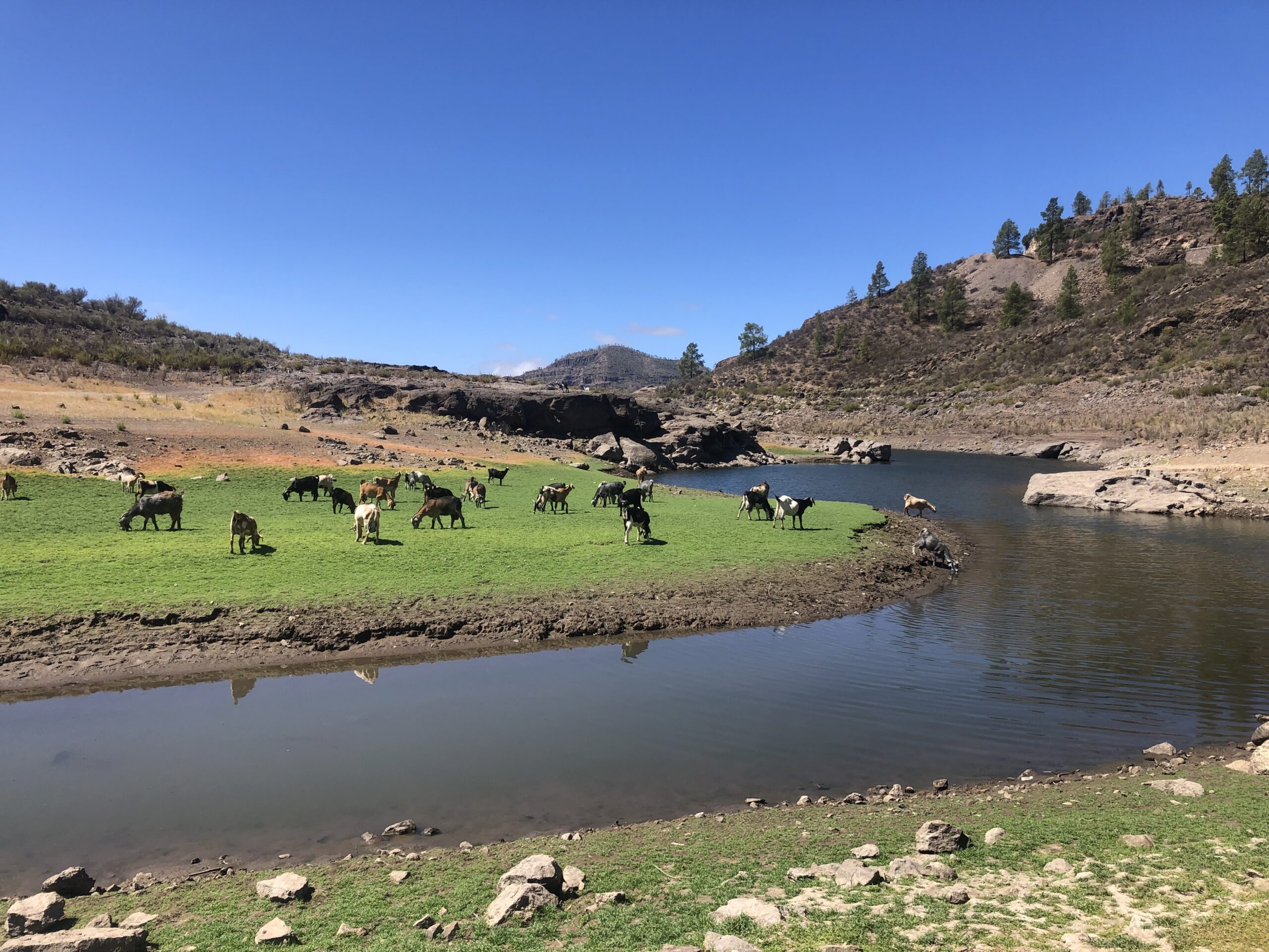 Presa de las Niñas - Gran Canaria