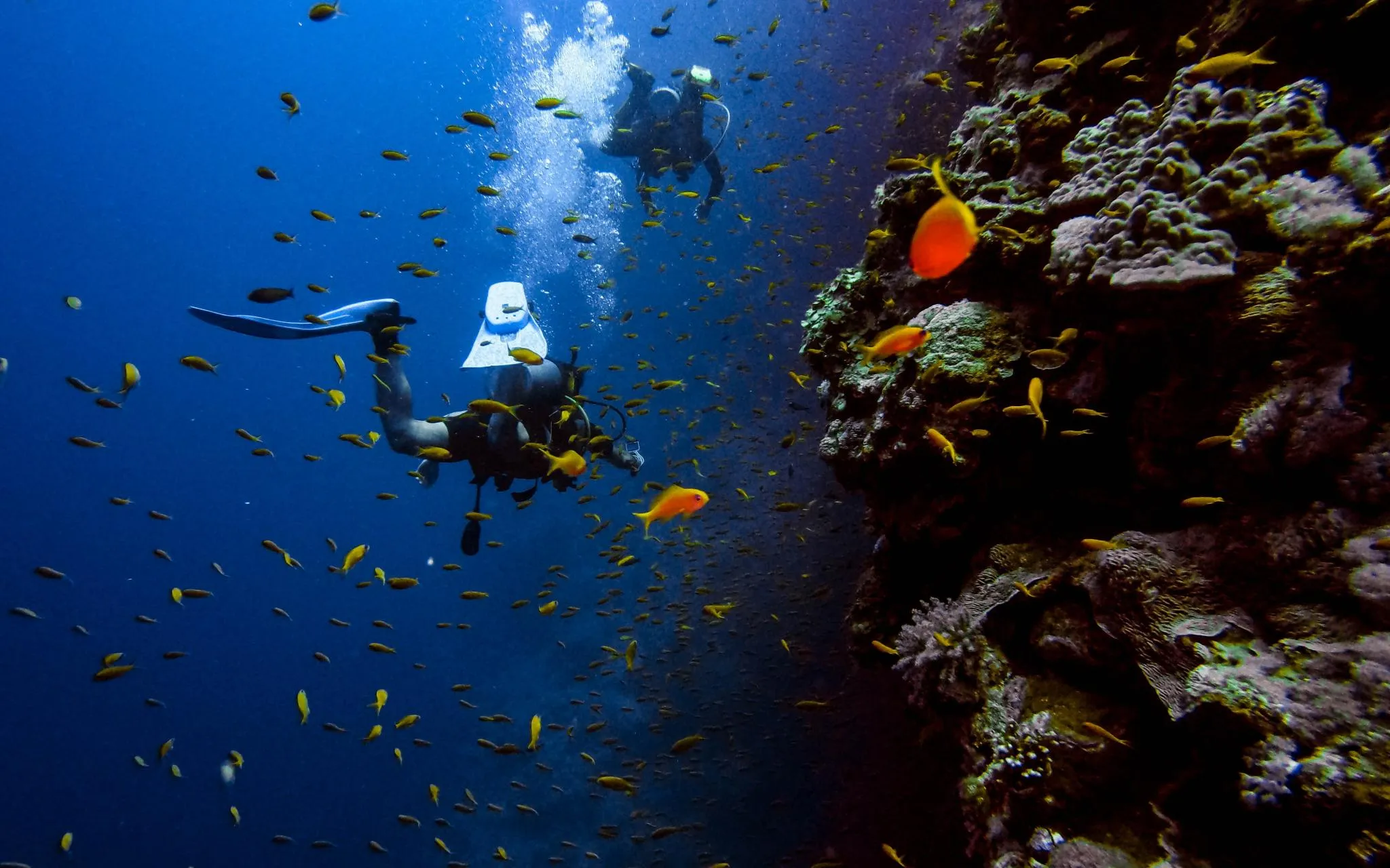 Diving in El Hierro - Canary Islands