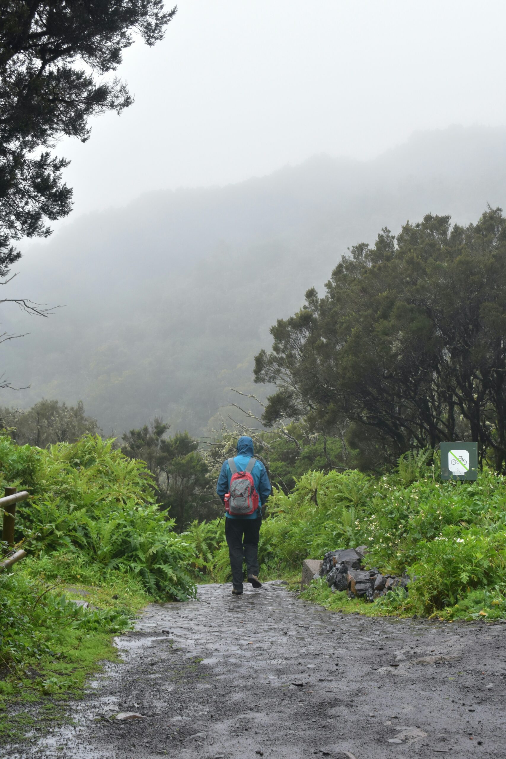 Path through La Gomera