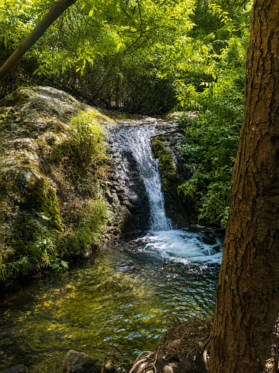 Small waterfall and pool near Teror - Gran Canaria green north