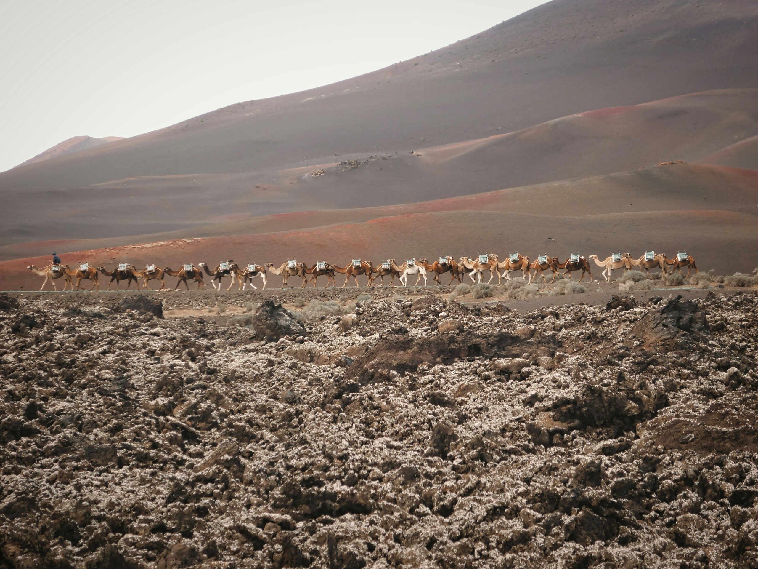 Timanfaya National Park fire mountains and camels - Lanzarote
